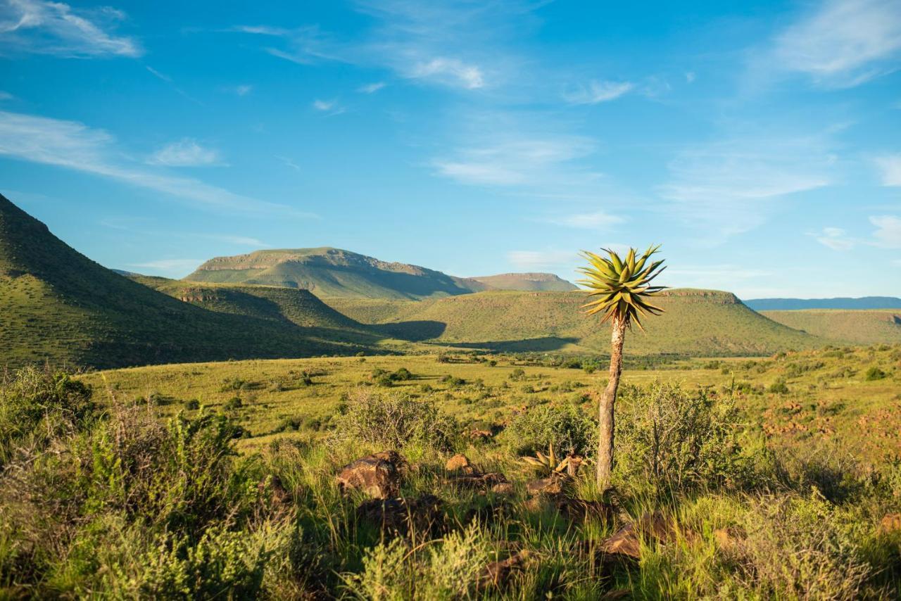Graaff-Reinet Glen Harry Game Reserve מראה חיצוני תמונה