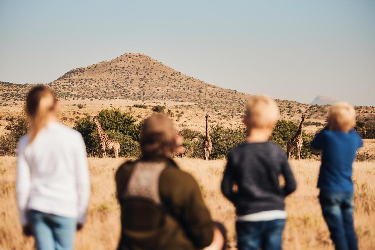 Graaff-Reinet Glen Harry Game Reserve מראה חיצוני תמונה